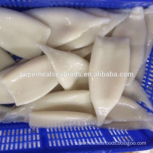 Giant High Quality Frozen Squid Tube